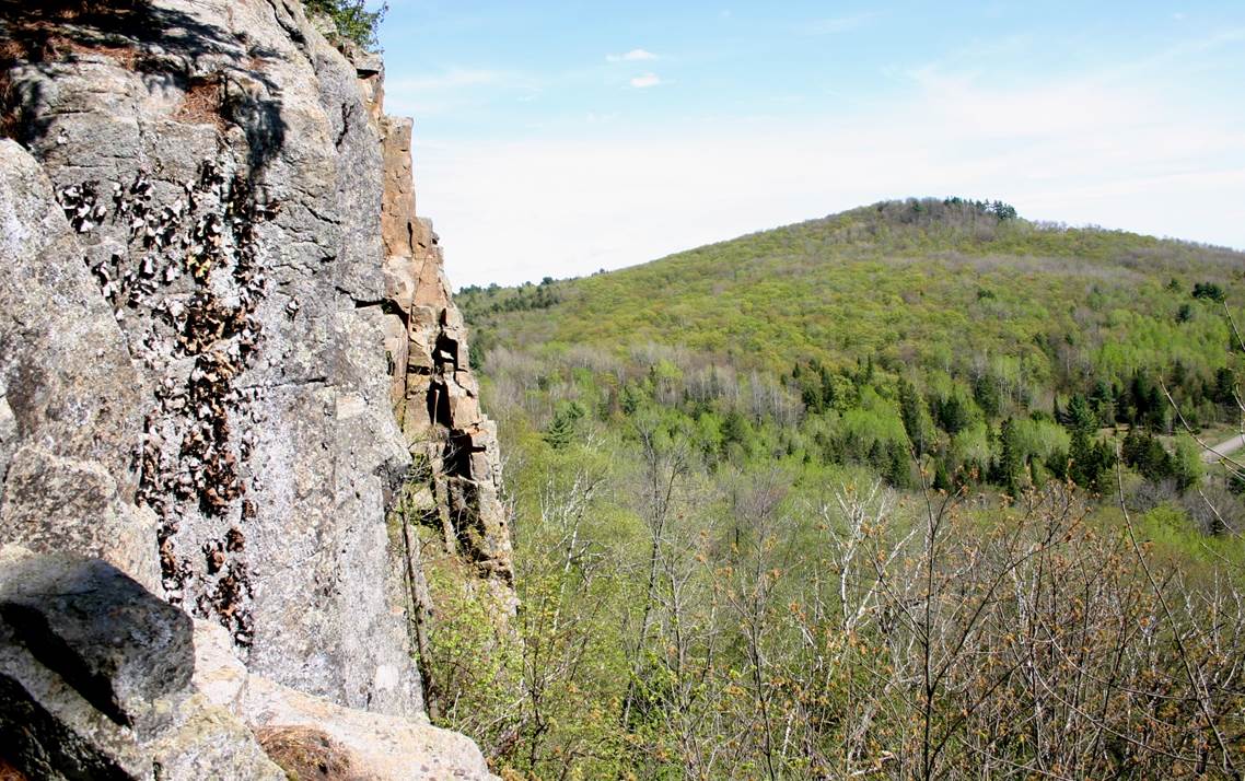 L'escarpement de la réserve naturelle Alfred-Kelly est parfait pour les nids de faucons pèlerins ! ©Michael Fortier