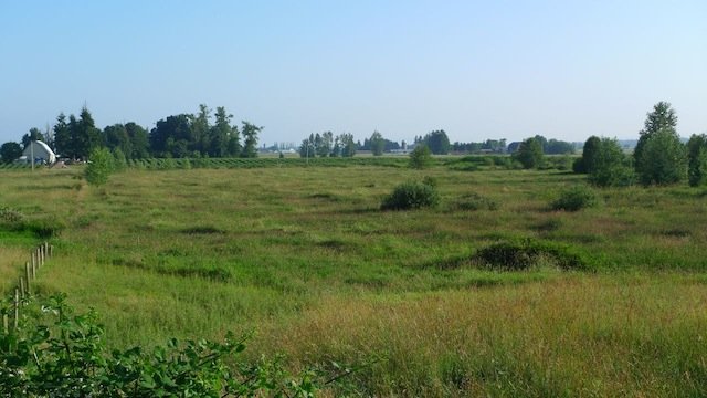 Aldergrove Lake Regional Park Aldergrove Lake Regional Park wetland British Columbia