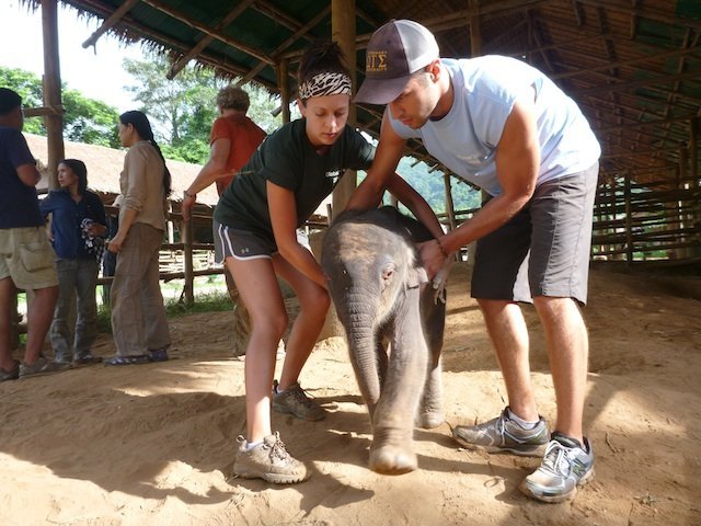Ryan and Emily help the baby elephant walk global vets, Thailand, baby, elephant