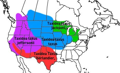Map of Badger Territory Map of Badger Territory