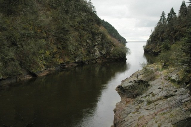 bay_of_fundy bay of fundy
