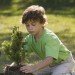 boy_planting_tree_s boy_planting_tree_s