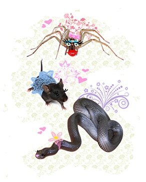 snake spider mouse