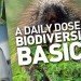 daily_dose_of_biodiversity_basics biodiversity, basics, porcupine, penguin,
