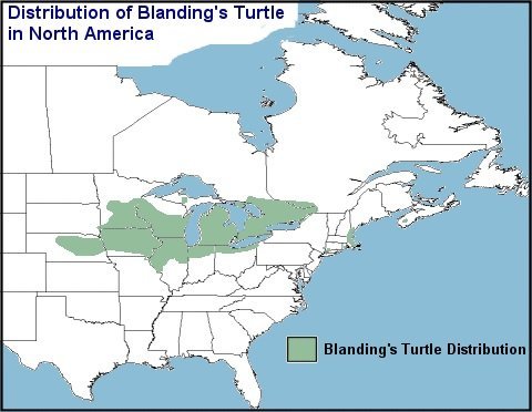 distribution speciesatrisk.ca