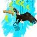eagle water eagle water