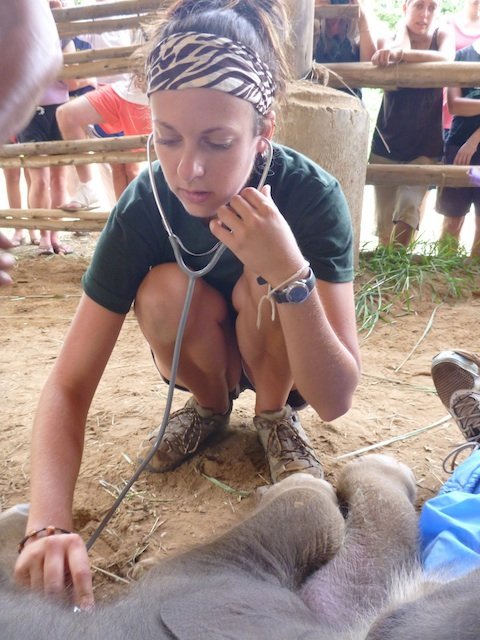 Emily checks the elephant's heart Global Vets, Thailand, baby, elephant, heartbeat