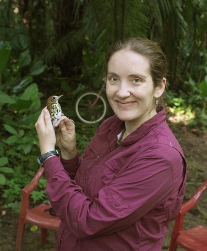 Emily holding a Wood thrush Wood thrush, Belize