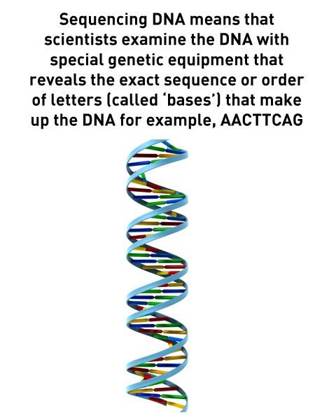 sequencing DNA