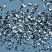gaggle snow geese in flight North America