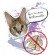 Fur is never fashionable fur, serval, fashion, protect, animals