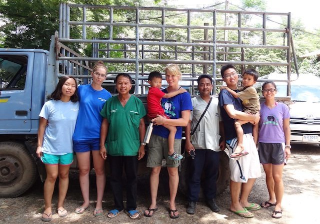 global vets team Thailand global vets team Thailand