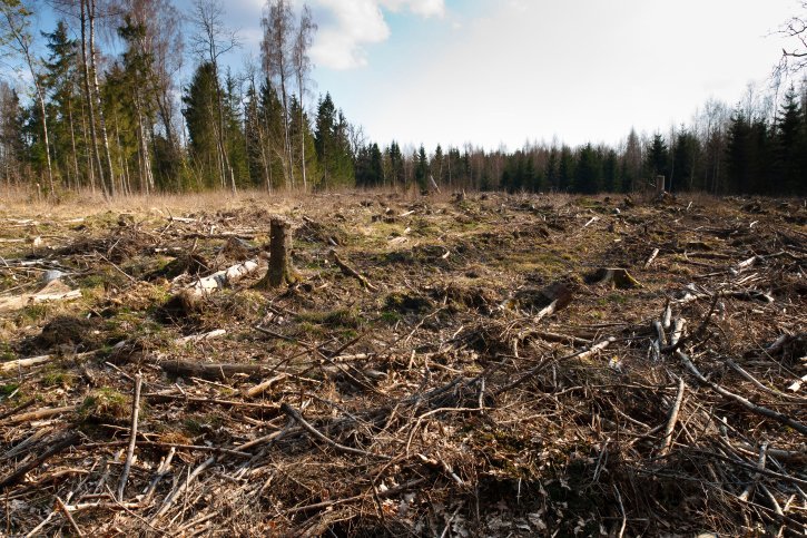 destruction of biodiversity Compared to other threats to biodiversity, invasive introduced species rank second only to habitat destruction, such as forest clearing of all 1,880 imperiled. destruction of biodiversity Compared to other threats to biodiversity, invasive introduced species rank second only to habitat destruction, such as forest clearing of all 1,880 imperiled.