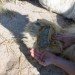 Bear paw