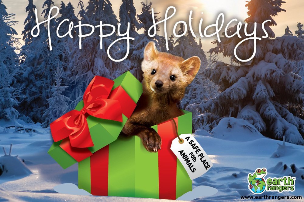 happy holidays from Earth Rangers
