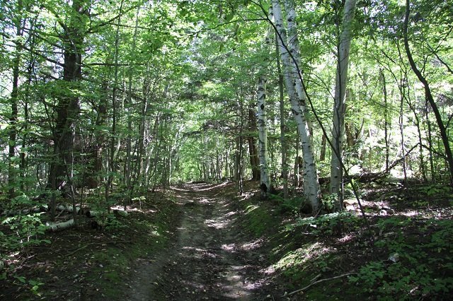 happy_valley_path happy valley path