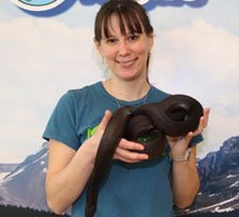 Laura and Fantom the black pine snake Laura and Fantom the black pine snake