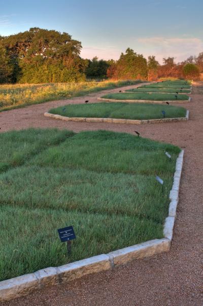   Fertilize Lawn on Lawn Research Plots Lady Bird Johnson Wildflower Center