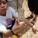 Malaysia water sample testing Malaysia water sample testing