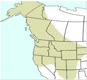map_Milliron 1971 from Evan et al. 2008
