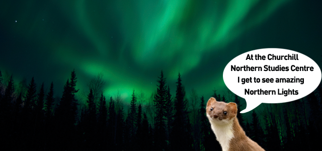 northern lights