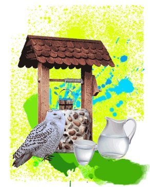 owl, well, water