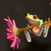 pink_flower_with_tree_frog