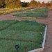 environment, lawn, grass, gardening, green, eco, environmental,