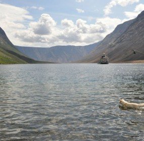 Arctic, Shore Line, boat, dog swimming,