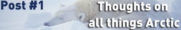 polar bear sleeping, thoughts, arctic, guest blogger