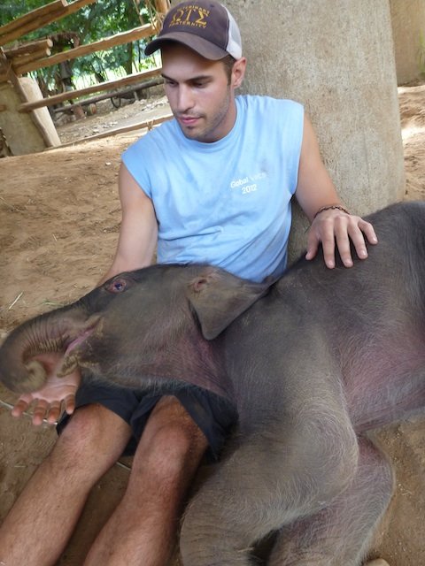 Ryan sits with the baby elephant baby, elephant, Global Vets, Thailand,