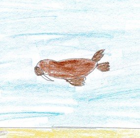 small_walrus small_walrus