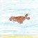 small_walrus small_walrus