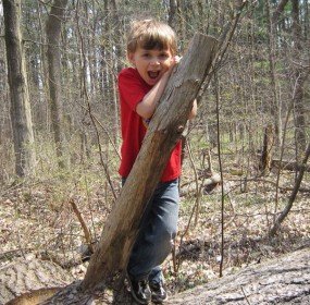super ranger sam super ranger sam, climbing, tree