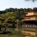 Temple in Japan temple, japan, tree, water