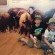 bison, kids