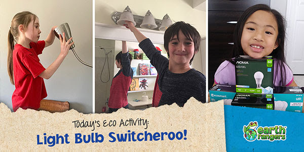 Eco-Activity: Lightbulb Switcheroo!