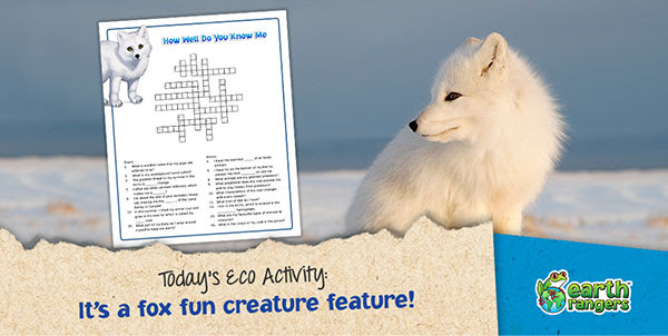 Arctic Fox Crossword