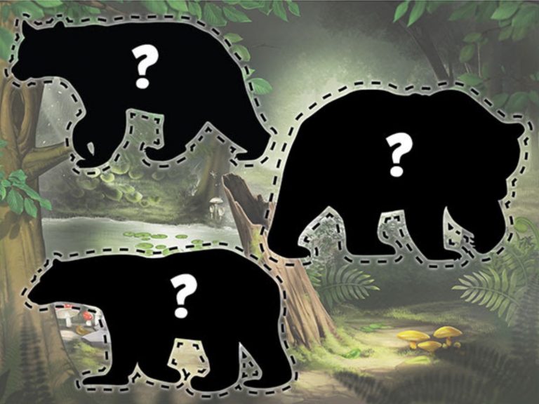 Eco-Activities: More Pawsitively Grizzly Tasks