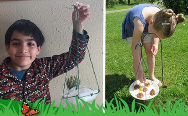 Eco-Activity: Butterfly snack shop