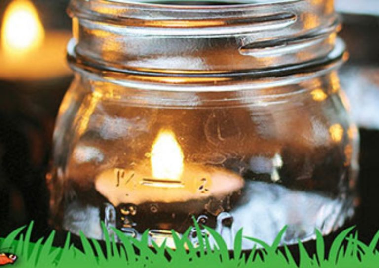 Eco-Activity: Buy-buy bug candles