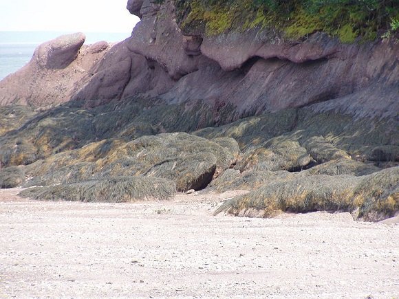 4 - Fundy NP