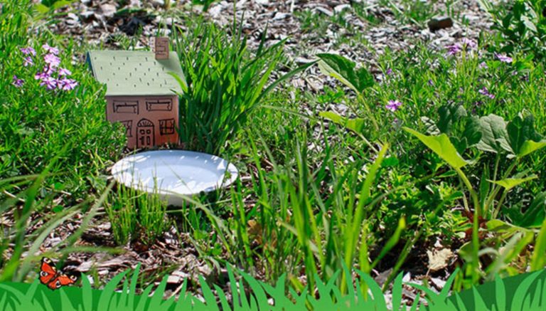 Eco-Activity: Creepy crawler cottage!