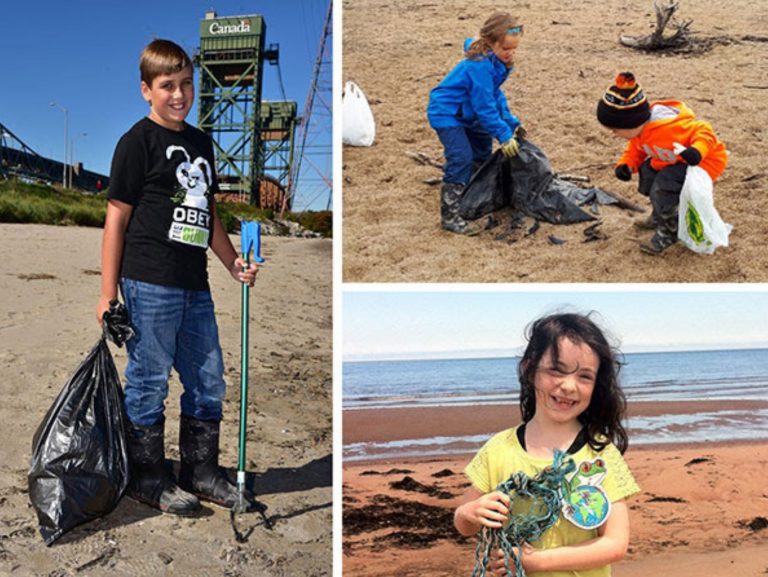 Eco-Activity: Shoreline Selfie: Before and After!