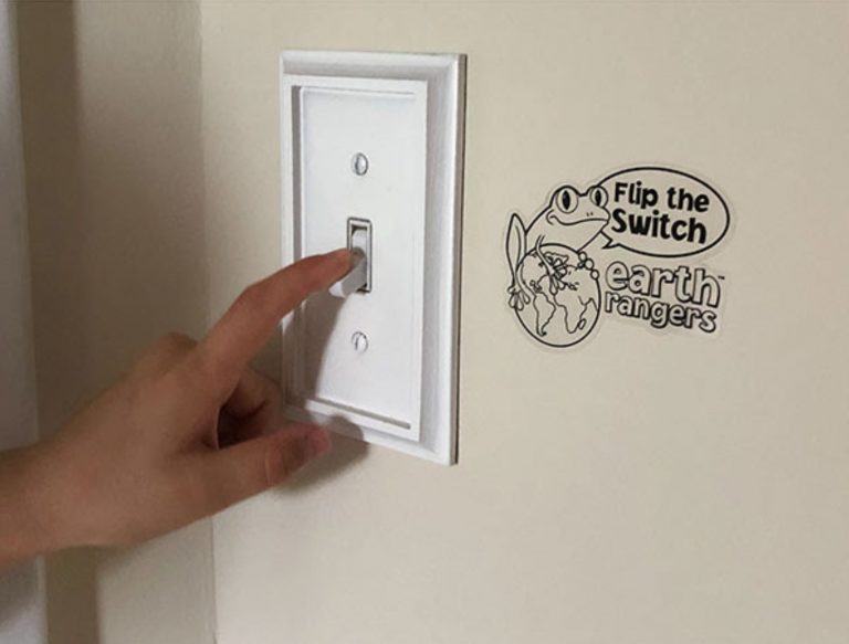 Eco-Activity: Flick Off the Lights & Flick on a Film