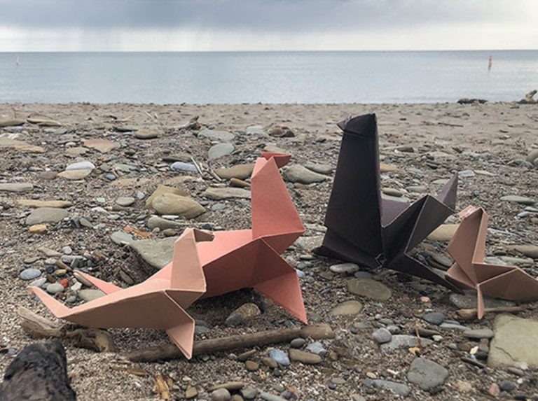 Eco-Activity: Sea lion origami