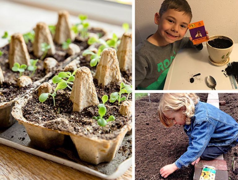 Eco-Activity: Germination Station
