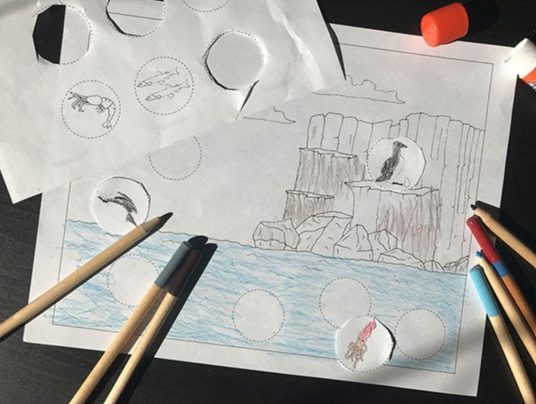 Eco-Activity: Egg-cellent Murre Habitat