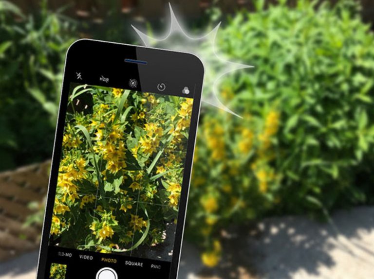 Eco-Activity: Snap plant pics for awesome prizes!