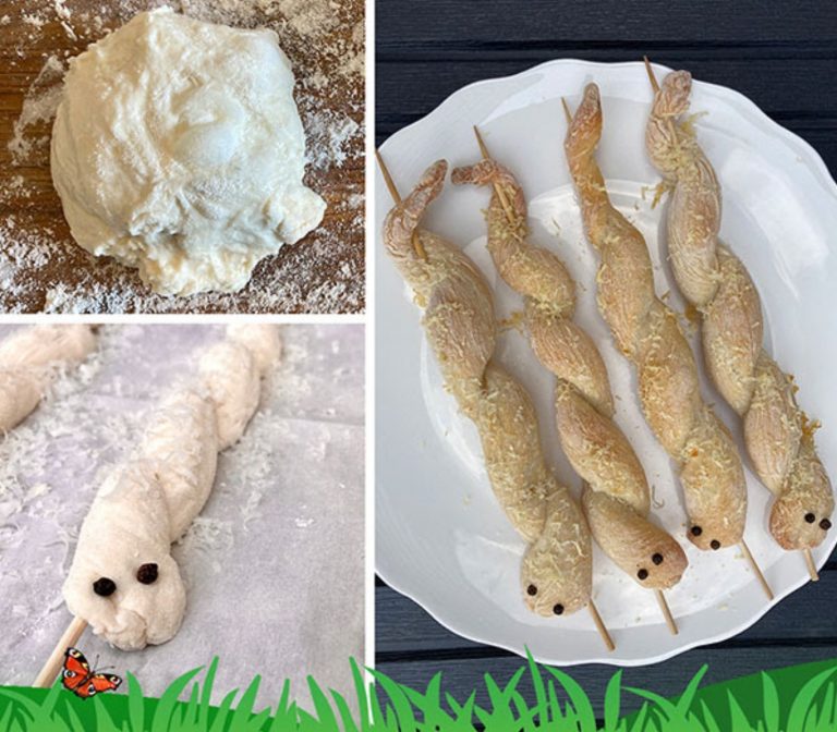 Eco-Activity: Make a ssssnake ssssnack!